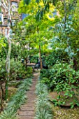 ABIGAIL AHERN HOUSE, LONDON: WOODLAND TOWN GARDEN , FAUX WOOD PATH, EUCALYPTUS, ROBINIA, YELLOW, GREEN, OASIS, LATE SUMMER, TABLE, CHAIRS, PATIO