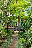ABIGAIL AHERN HOUSE, LONDON: WOODLAND TOWN GARDEN , FAUX WOOD PATH, EUCALYPTUS, ROBINIA, YELLOW, GREEN, OASIS, LATE SUMMER, TABLE, CHAIRS, PATIO