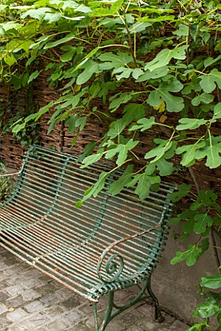 HENRIETTA_COURTAULDS_HOUSE_NOTTING_HILL_LONDON_THE_LAND_GARDENERS__METAL_BENCH_CHAIR_ON_PATIO_WITH_F