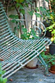 HENRIETTA COURTAULDS HOUSE, NOTTING HILL, LONDON: THE LAND GARDENERS - METAL BENCH, CHAIR ON PATIO WITH FIG. GREEN, SUMMER