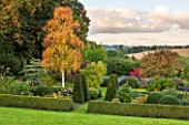 PETTIFERS, OXFORDSHIRE: LOWER PARTERRE - CLIPPED TOPIARY HEDGING - YEW, BETULA ERMANII, AUTUMN, SKY, SEPTEMBER, GREEN, ENGLISH, COUNTRY, CLASSIC, FORMAL