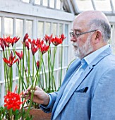 GUERNSEY NERINE FESTIVAL: NERINE EXPERT ANDREW LANOE WITH NERINE SARNIENSIS IN THE LOWER GLASSHOUSE, CANDIE GARDENS. GUERNSEY LILY