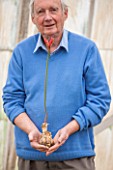 GUERNSEY NERINE FESTIVAL: COMMERCIAL NERINE GROWER ROGER BEAUSIRE HOLDS A FLOWER OF NERINE SARNIENSIS - GUERNSEY LILY - IN HIS GREENHOUSE