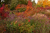 BORDE HILL GARDEN, WEST SUSSEX. AUTUMN. OCTOBER, FALL. PATH AND BORDER WITH VERBENA BONARIENSIS, MISCANTHUS GRACILLIMUS, ROSE ROSA SHOWMEE MUSIC