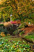 BATSFORD ARBORETUM, GLOUCESTERSHIRE. AUTUMN. OCTOBER, FALL. POND, POOL WITH RED CHINESE BRIDGE, WATERLILIES, ACERS, MAPLES, TREES, FOLIAGE