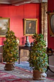 BURTON AGNES HALL, EAST YORKSHIRE: CHRISTMAS - THE DINING ROOM WITH BAY TREES. LAURUS NOBILIS, PORTRAIT OF OLIVER CROMWELL. RED, LIGHTS, LIGHTING