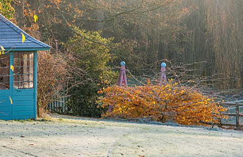 HIGHFIELD_HOLLIES_HAMPSHIRE_WINTER__CHRISTMAS__FROSTY_LAWN_BLUE_SUMMERHOUSE_AND_AUTUMN_COLOUR_ON_PAR