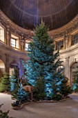 VAUX LE VICOMTE, FRANCE: THE GRAND SALON. OVAL DOMED ROOM DECORATED FOR CHRISTMAS WITH A MAGICAL FOREST OF NEARLY 100 TREES, STUFFED HARES, WILDBOAR, FOXES AND DEER