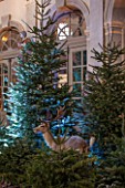 VAUX LE VICOMTE, FRANCE: THE GRAND SALON. OVAL DOMED ROOM DECORATED FOR CHRISTMAS WITH A MAGICAL FOREST OF NEARLY 100 TREES, STUFFED HARES, WILDBOAR, FOXES AND DEER