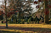 BRODSWORTH HALL, YORKSHIRE: DAWN. WINTER, JANUARY, TOPIARY EVERGREEN, BORDER, FORMAL, GARDEN, COUNTRY, CLIPPED, HEDGE, HEDGES, HEDGING, STATUE, CEDAR OF LEBANON