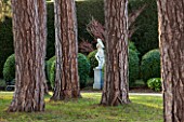 BRODSWORTH HALL, YORKSHIRE: STATUE SEEN THROUGH PINE TREES IN THE LAWN