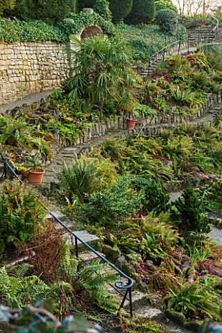 BRODSWORTH_HALL_YORKSHIRE_THE_FERN_DELL__STAIRS_IVY_FERNS_FERN_GREEN_ROCKS_STAIRCASE