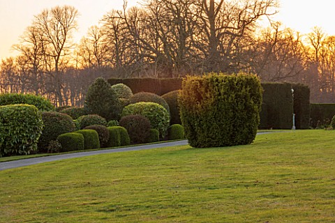 BRODSWORTH_HALL_YORKSHIRE_VIEW_ACROSS_LAWN_TO_BORDER_OF_CLIPPED_EVERGREEN_TOPIARY_VICTORIAN_COUNTRY_