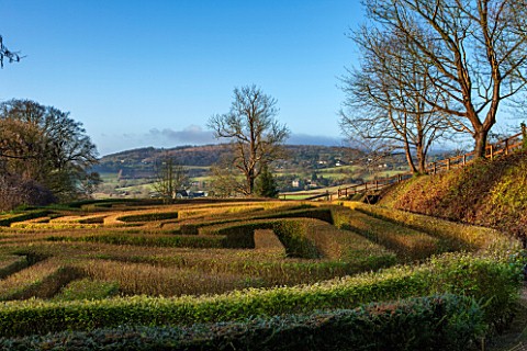 PAINSWICK_ROCOCO_GARDEN_GLOUCESTERSHIRE_VIEW_ACROSS_MAZE_TO_COUNTRYSIDE_BEYOND_HEDGE_HEDGES_HEDGING_
