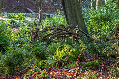 PAINSWICK_ROCOCO_GARDEN_GLOUCESTERSHIRE_WOODEN_DEER_ORNAMENT_IN_THE_WOODLAND_SCULPTURE_WOOD_NATURAL_
