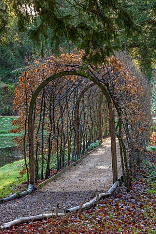 PAINSWICK_ROCOCO_GARDEN_GLOUCESTERSHIRE_PATH_THROUGH_BEECH_ARCH_BESIDE_THE_LAKE_PATHS_ARCHES_TUNNEL_
