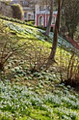 PAINSWICK ROCOCO GARDEN, GLOUCESTERSHIRE: GRASS SLOPE WITH DRIFTS OF SNOWDROPS AND EAGLE HOUSE. FOLLY, FOLLIES, SUMMERHOUSE, PAINTED, BUILDING, WINTER, JANUARY
