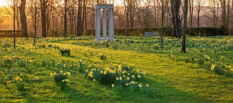 MORTON_HALL_GARDENS_WORCESTERSHIRE_THE_MONOPTEROS_PARKLAND_MEADOW_DAFFODILS_NARCISSUS_COLONNADE_PARK