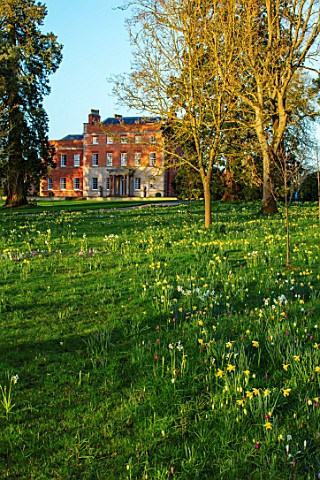 MORTON_HALL_GARDENS_WORCESTERSHIRE_THE_HOUSE_SEEN_FROM_THE_MONOPTEROS_PARKLAND_MEADOW_DAFFODILS_NARC