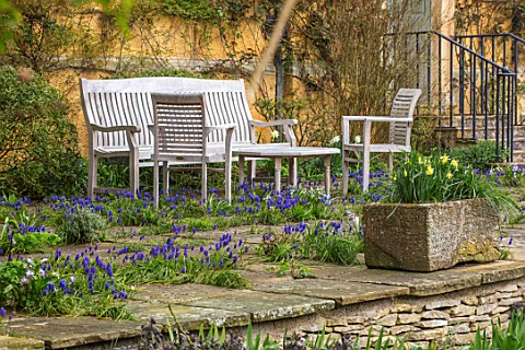 ABLINGTON_MANOR_GLOUCESTERSHIRE_STONE_TERRACE_WITH_WOODEN_TABLE_AND_CHAIRS_AND_GRAPE_HYACINTHS_GROWI