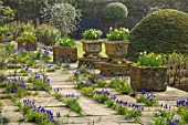 ABLINGTON MANOR, GLOUCESTERSHIRE: STONE TERRACE WITH GRAPE HYACINTHS GROWING BETWEEN CRACKS. MUSCARI, SPRING, ENGLISH, GARDEN, COUNTRY, DAFFODILS, STONE, TROUGH, PATIO