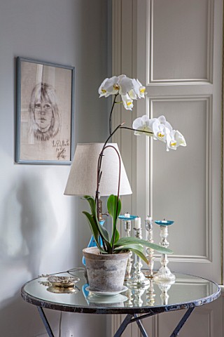 LONDON_HOUSE_DESIGNED_BY_JULIE_SIMONSEN_WHITE_ORCHID_ON_MIRRORED_SIDE_TABLE_IN_LIVING_ROOM_WITH_LAMP