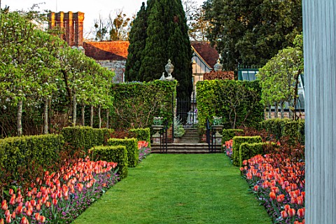 PASHLEY_MANOR_GARDEN_EAST_SUSSEX_SPRING__VIEW_TO_MANOR_HOUSE_WITH_STEPS_LAWN_AND_TULIPS__TULIPA_AMAZ