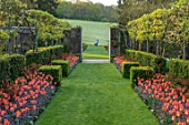 PASHLEY MANOR GARDEN, EAST SUSSEX. SPRING - VIEW TO COUNTRYSIDE - LAWN, TULIPS - TULIPA AMAZONE. HEDGE, HEDGES, HEDGING, GARDEN, ENGLISH, APRIL, COUNTRY, FRAME, FRAMING, FRAMED