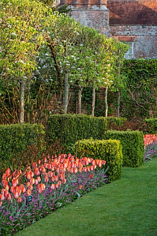 PASHLEY_MANOR_GARDEN_EAST_SUSSEX_SPRING__VIEW_TO_MANOR_HOUSE_WITH_LAWN_AND_TULIPS__TULIPA_AMAZONE_HE