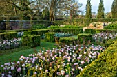 PASHLEY MANOR GARDEN, EAST SUSSEX. SPRING - THE WALLED GARDEN - PATH, BOX HEDGING, TULIP ANGELIQUE. TERRACOTTA CONTAINER, HEDGE, HEDGES, APRIL