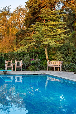PASHLEY_MANOR_GARDEN_EAST_SUSSEX_SPRING__THE_POOL_TERRACE_WITH_SWIMMING_POOL_WOODEN_BENCHES_SEATS_SP