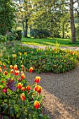 PASHLEY MANOR GARDEN, EAST SUSSEX. SPRING - LAWN AND BORDERS OF TULIPS IN THE WOODLAND. BULBS, COUNTRY, APRIL, BLOOMS, FLOWERS, PATH, MORNING LIGHT