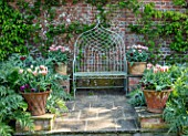 PASHLEY MANOR GARDEN, EAST SUSSEX. SPRING - THE WALLED KITCHEN GARDEN - CARDOONS WITH METAL SEAT AND TERRACOTTA CONTAINERS WITH TULIPA CHINA TOWN. BENCH, APRIL, VEGETABLE