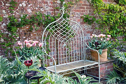 PASHLEY_MANOR_GARDEN_EAST_SUSSEX_SPRING__THE_WALLED_KITCHEN_GARDEN__CARDOONS_WITH_METAL_SEAT_AND_TER