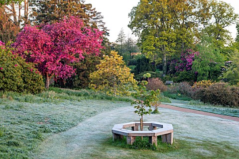 HOLE_PARK_KENT_WOODEN_TREE_SEAT_LAWN_MALUS_PROFUSION_WOODS_PATH_PATHWAYS_COUNTRY_GARDENS_ENGLISH_MAY