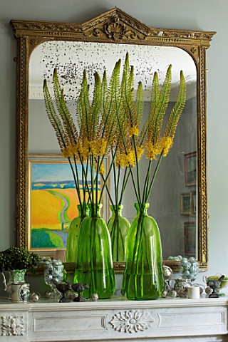 DESIGNER_BUTTER_WAKEFIELD_LONDON__THE_FRONT_ROOM__MIRROR_ABOVE_FIREPLACE_WITH__YELLOW_FLOWERS_OF_ERE