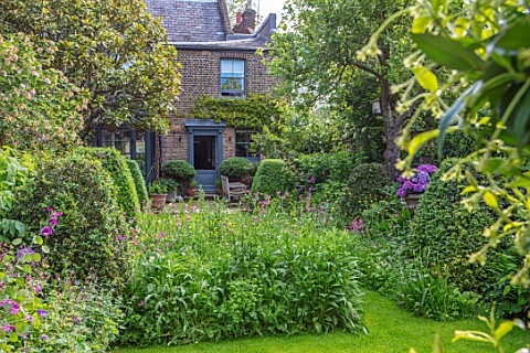 BUTTER_WAKEFIELD_HOUSE_LONDON_VIEW_TO_BACK_OF_HOUSE_WITH_LAWN_WILDFLOWER_MEADOW_CLIPPED_TOPIARY_BOX_