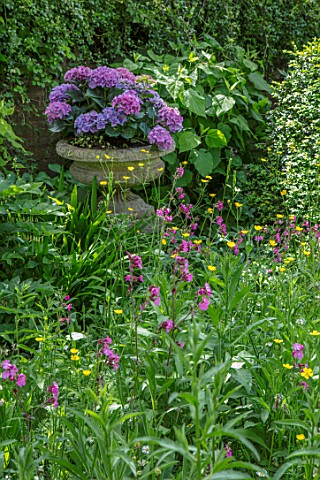 BUTTER_WAKEFIELD_HOUSE_LONDON_WILDFLOWER_MEADOW_RED_CAMPION_BUTTERCUPS_STONE_URN_CONTAINER_TROUGH_WI