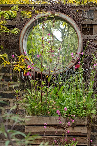 BUTTER_WAKEFIELD_HOUSE_LONDON_WALL_WITH_MIRROR_AND_WOODEN_BOX_CONTAINER_PLANTED_WITH_WILDFLOWERS_ORN