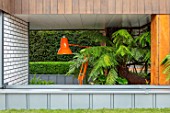 CHELSEA FLOWER SHOW 2017: CITY LIVING GARDEN DESIGNED BY KATE GOULD. MODERN, CONTEMPORARY, FOLIAGE, LIVING, WALL, GREEN, TREE FERN, LAMP, ANGLEPOISE, ORANGE, BASEMENT