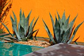 CHELSEA FLOWER SHOW 2017: BENEATH A MEXICAN SKY DESIGNED BY MANOJ MALDE. LUIS BARRAGAN, YELLOW,  PINK, WALL, MEXICO, MODERN, MEDITERRANEAN, AGAVE, EXOTIC, WATER, POOL, POND