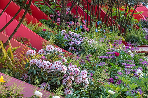CHELSEA_FLOWER_SHOW_2017_THE_SILK_ROAD_GARDEN_CHENGDU_CHINA_DESIGNED_BY_LAURIE_CHETWOOD_AND_PATRICK_