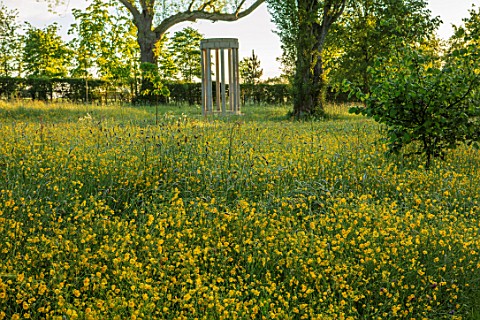 MORTON_HALL_GARDENS_WORCESTERSHIRE_BUTTERCUPS_IN_MEADOW_WITH_MONOPTEROS_IN_BACKGROUND_MORNING_SUNRIS