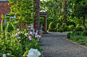 MORTON HALL, WORCESTERSHIRE: GRAVEL PATH, SOUTH GARDEN, CLIPPED YOPIARY BOX, LAWN, IRISES. SUMMER, SPRING, HERBACEOUS, BORDERS, PEONY, PEONIES