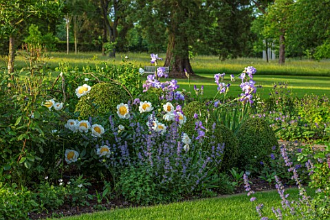 MORTON_HALL_WORCESTERSHIRE_SOUTH_GARDEN_CLIPPED_YOPIARY_BOX_LAWN_IRIS_ANNABELLE_JANE_PAEONIA_KRINKLE