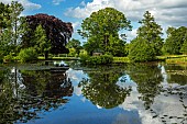 HAZELBY HOUSE, BERKSHIRE: SUMMER, LAKE, POND, POOL, WATER, REFLECTIONS, REFLECTED, LANDSCAPE, PARKLAND