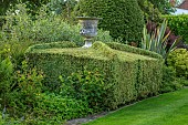 HAZELBY HOUSE, BERKSHIRE: LAWN, BORDERS, HEDGES, HEDGING, SUMMER, GARDEN, GREEN, URN, STONE CONTAINER