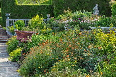HAZELBY_HOUSE_BERKSHIRE_LAWN_BORDERS_HEDGES_HEDGING_SUMMER_GARDEN_CONTAINERS_STATUE_ALCHEMILLA_GEUMS