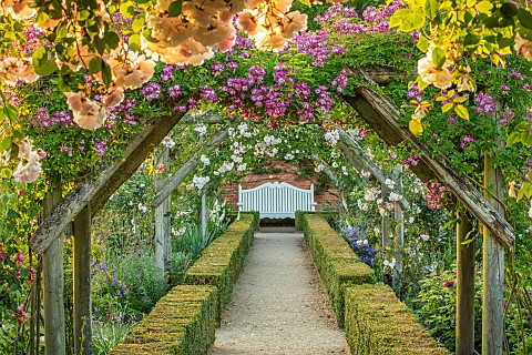 MOTTISFONT_ABBEY_HAMPSHIRE_WOODEN_PERGOLA_PATHS_WHITE_WOODEN_BENCH_ROSES_VISTA_FORMAL_COUNTRY_GARDEN