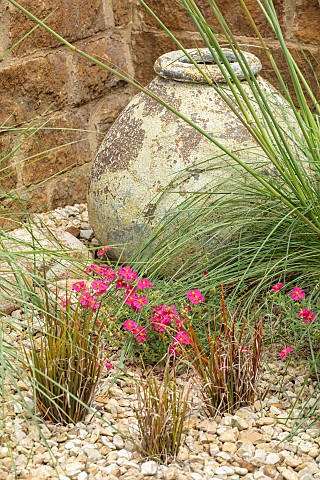 THE_CONIFERS_OXFORDSHIRE_DESIGNER_CLIVE_NICHOLS__GRAVEL_GARDEN_CLAY_CONTAINER_POT_PINK_FLOWERS_OF_HE